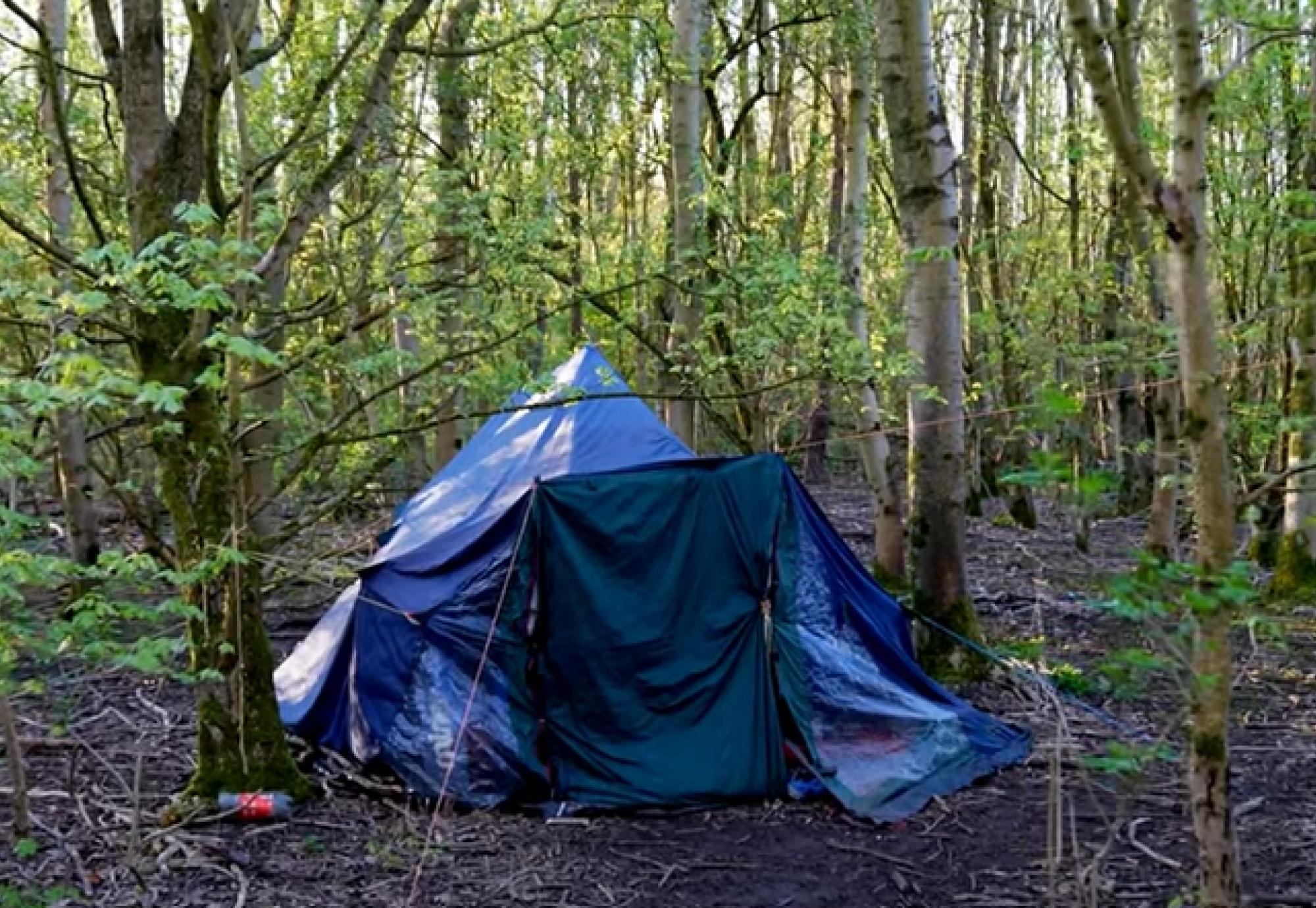 Tent in woodland