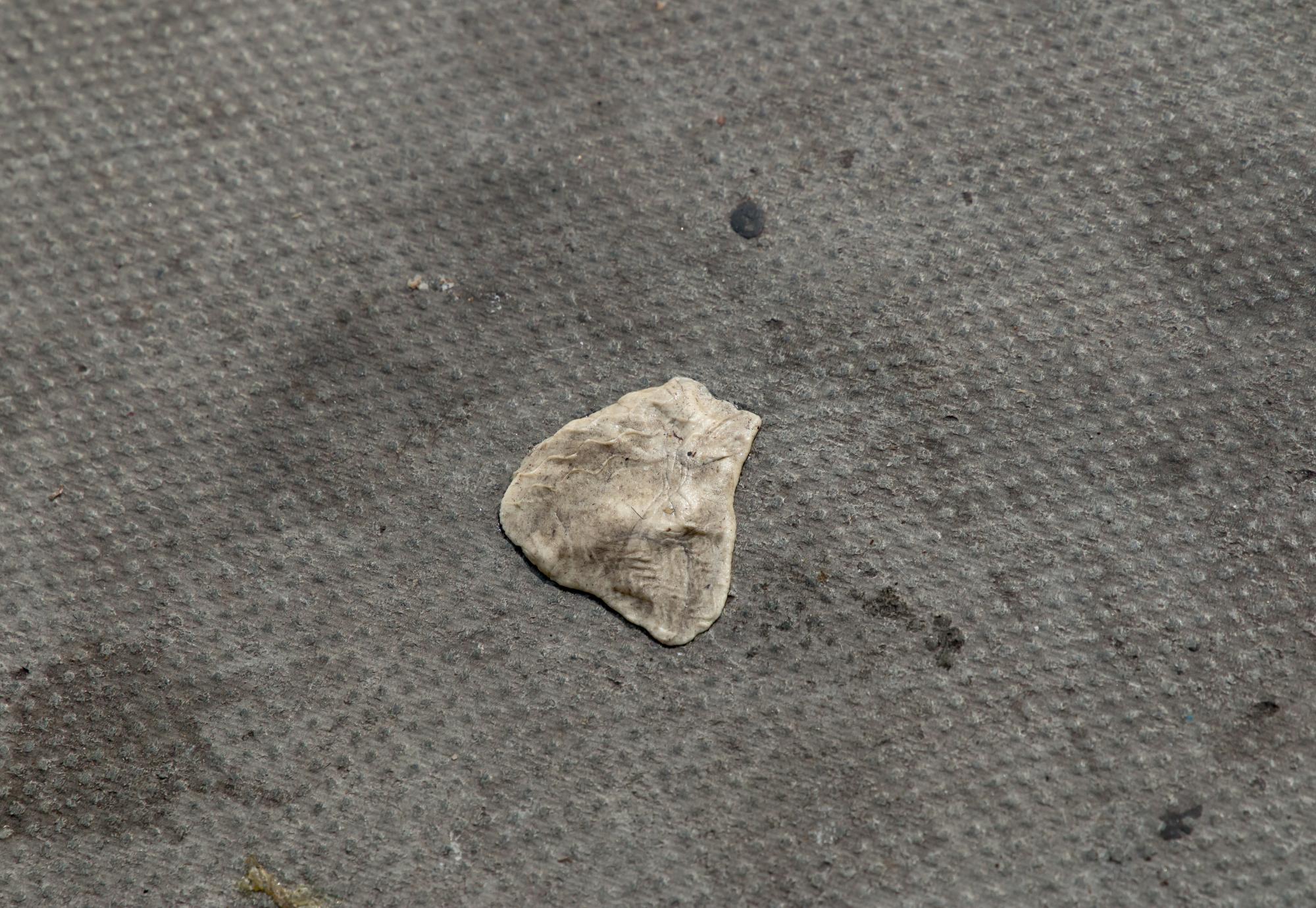 Chewing Gum Pavement