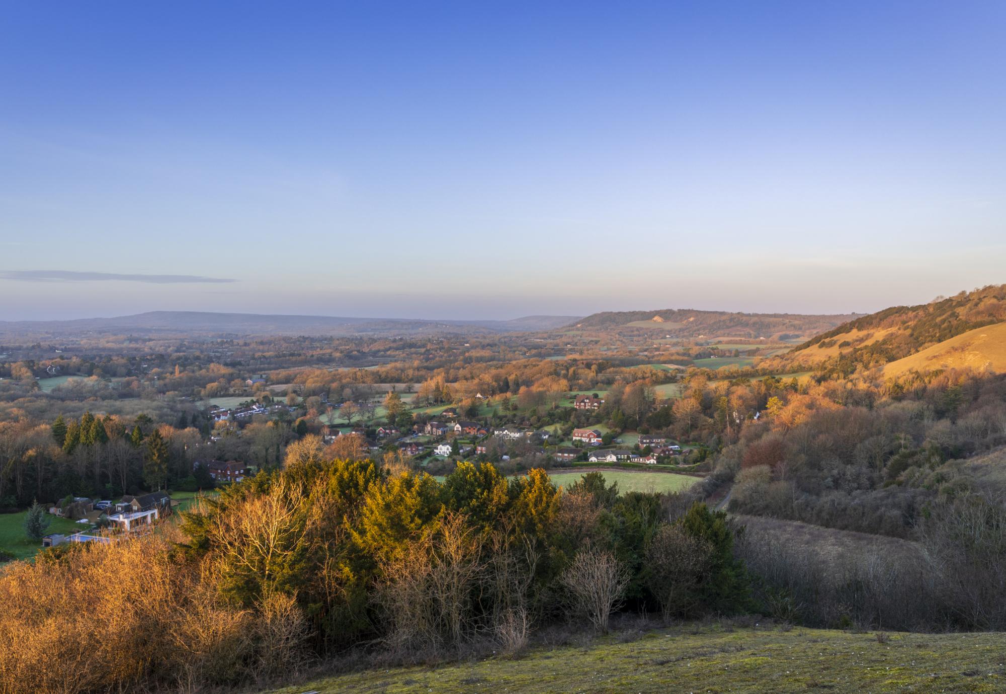 Surrey Hills