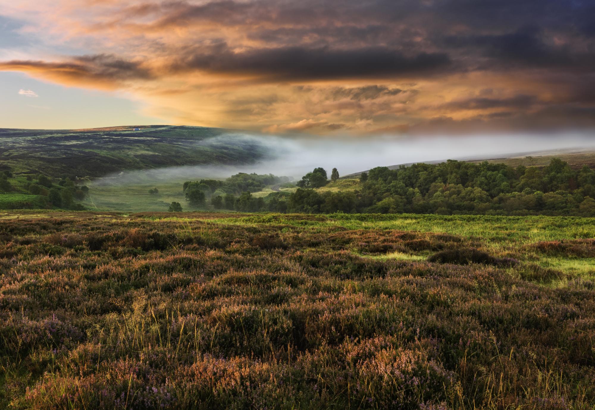 North Yorks Moors