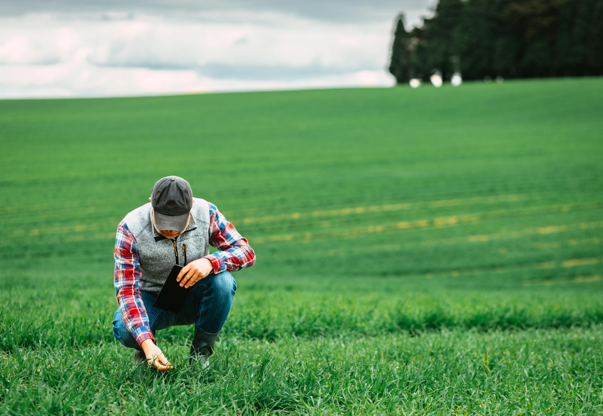 Farmer in his field