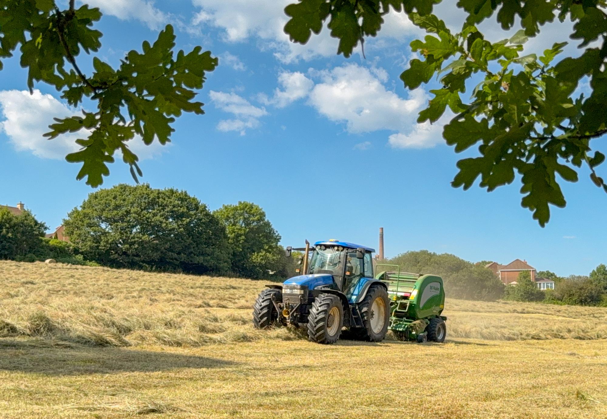 Farm in Wales