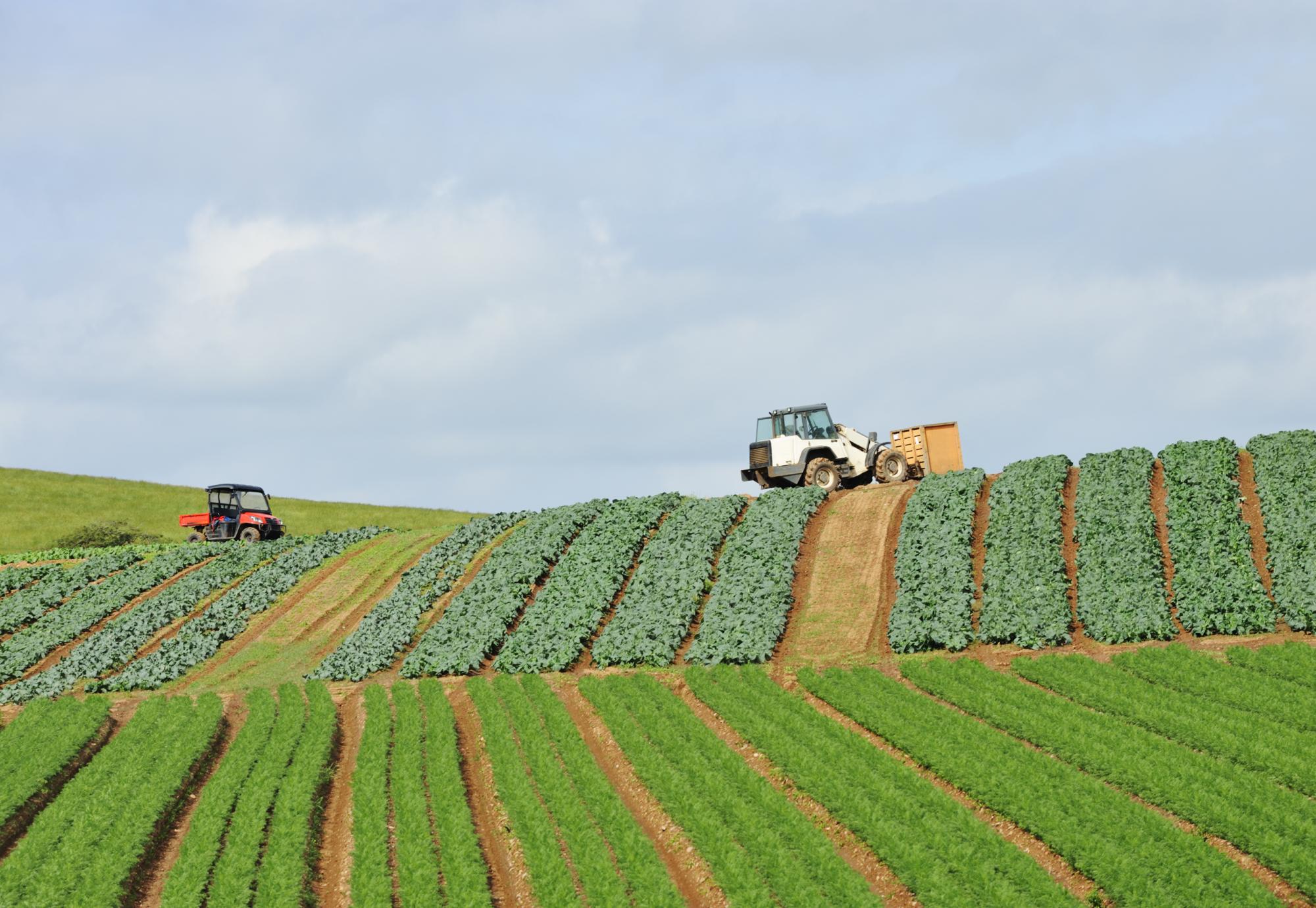 Farming technology