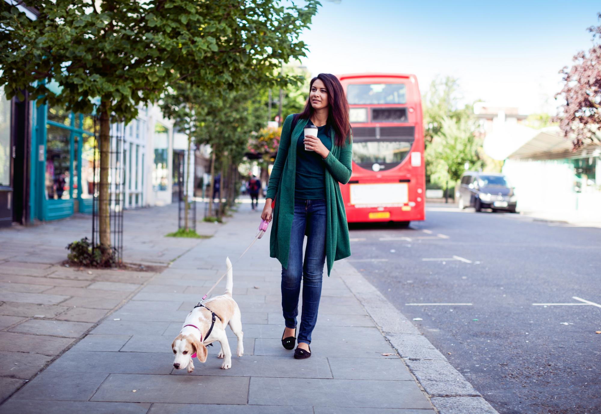 Woman walking a dog in London