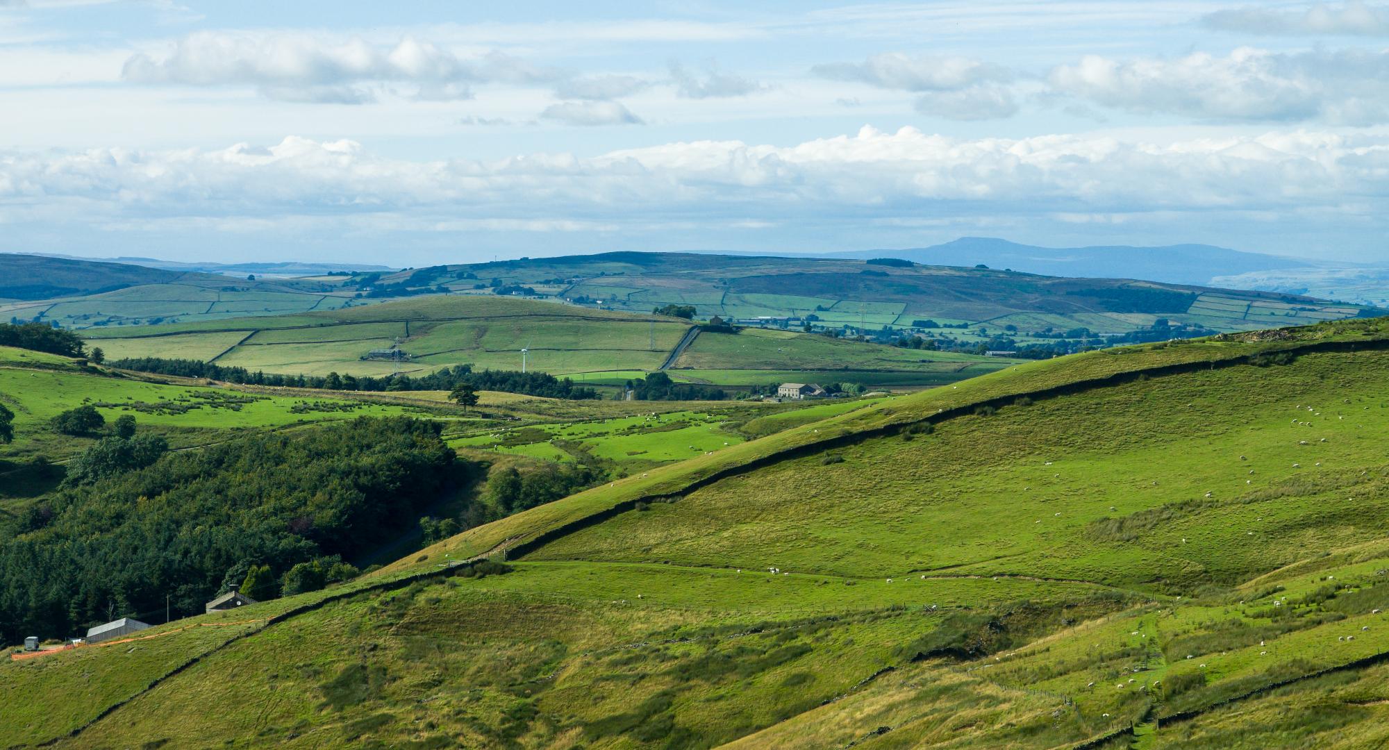 Lancashire Countryside 