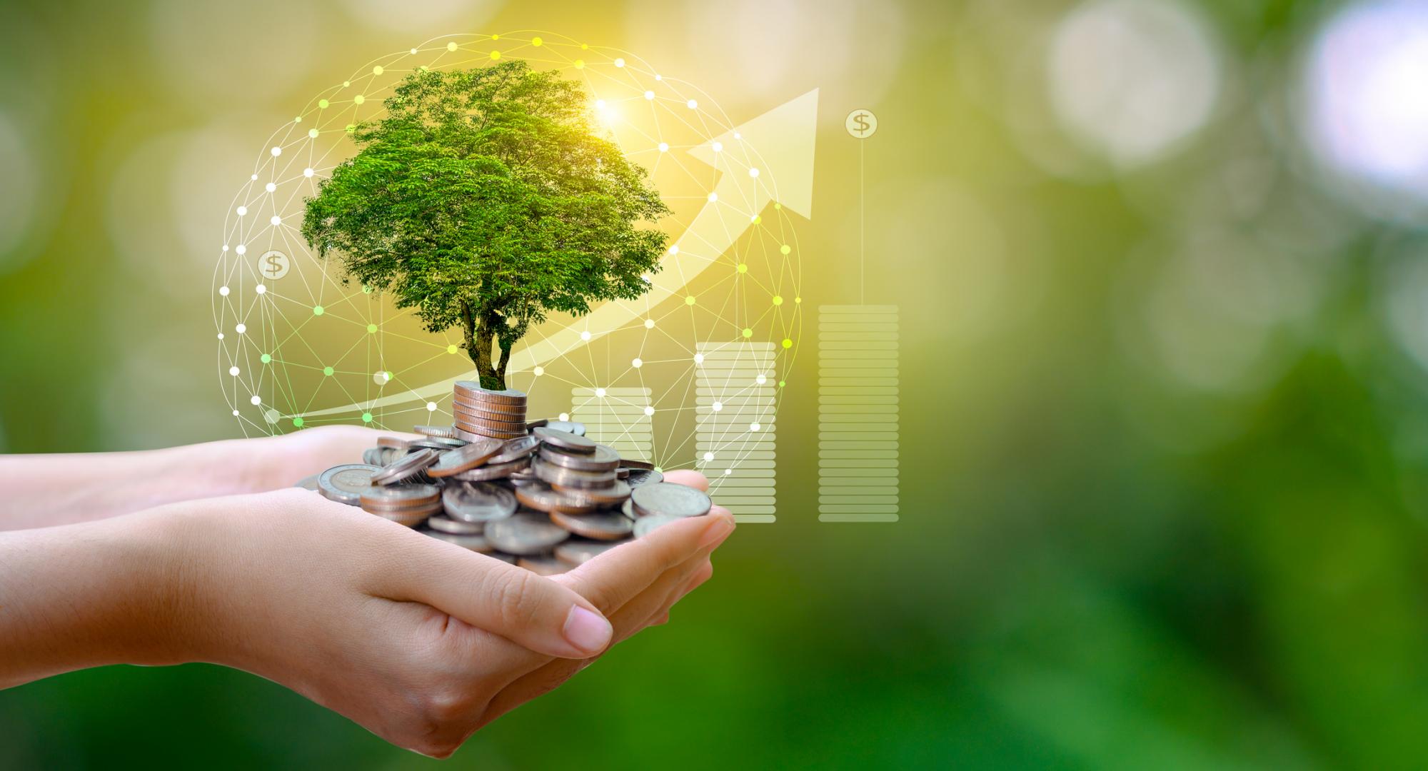 Girl holding money tree