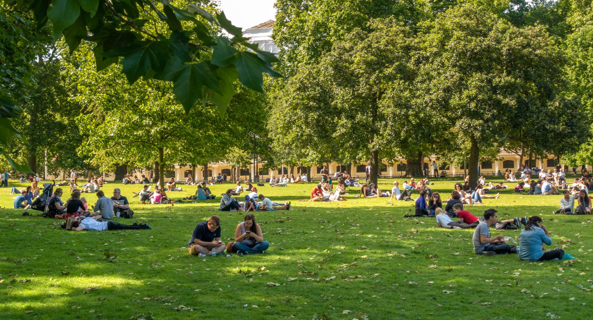 Socially distanced groups relax in a park.