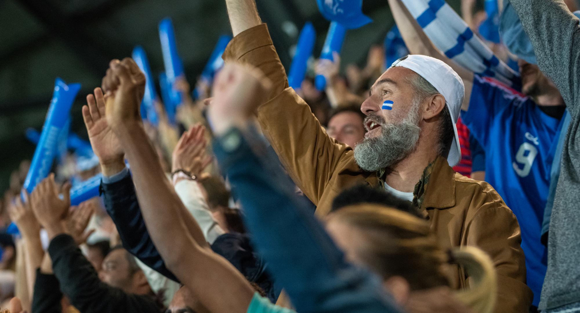 Sports fans cheer in stadium