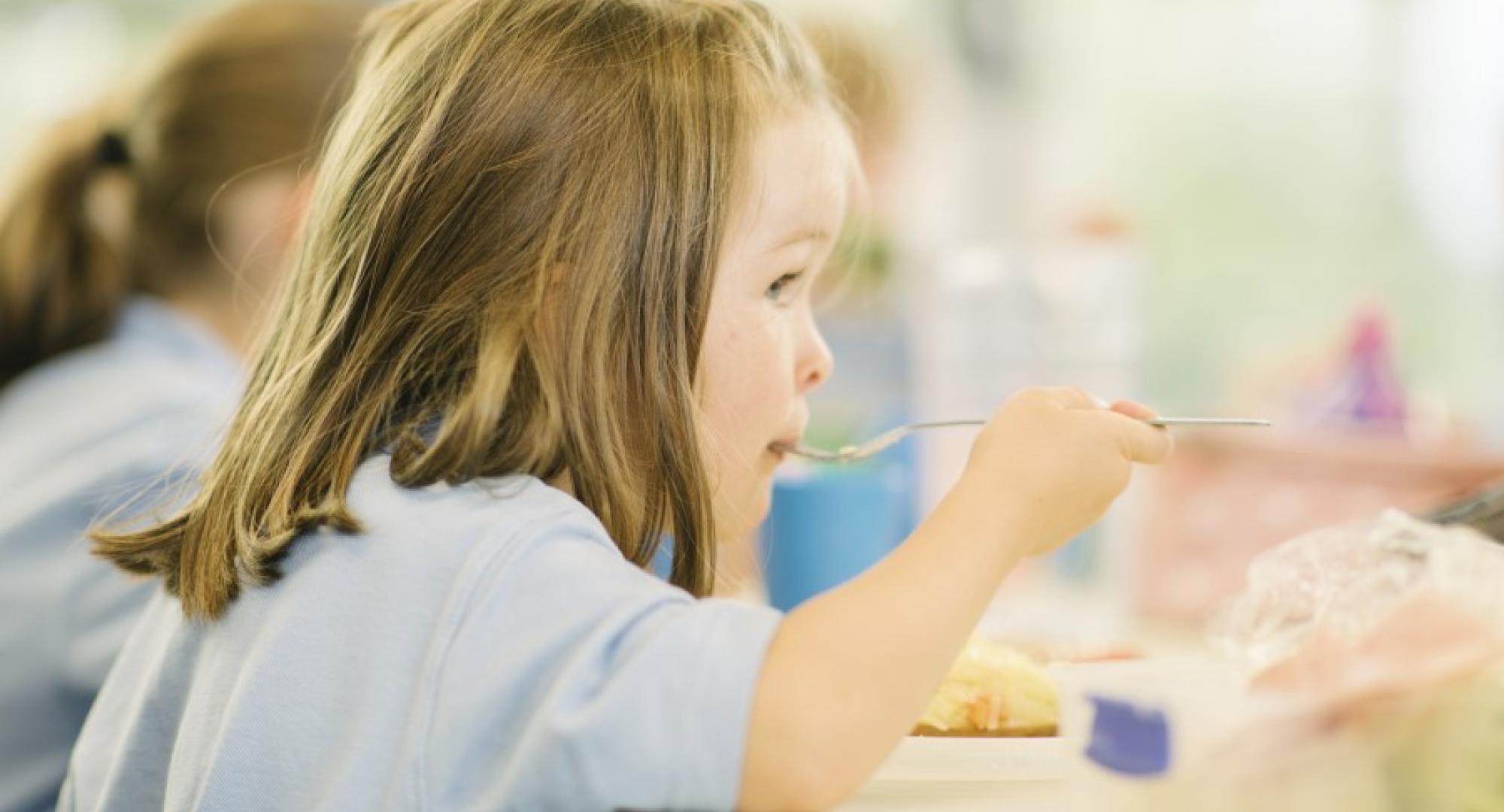 Child eating school dinner 