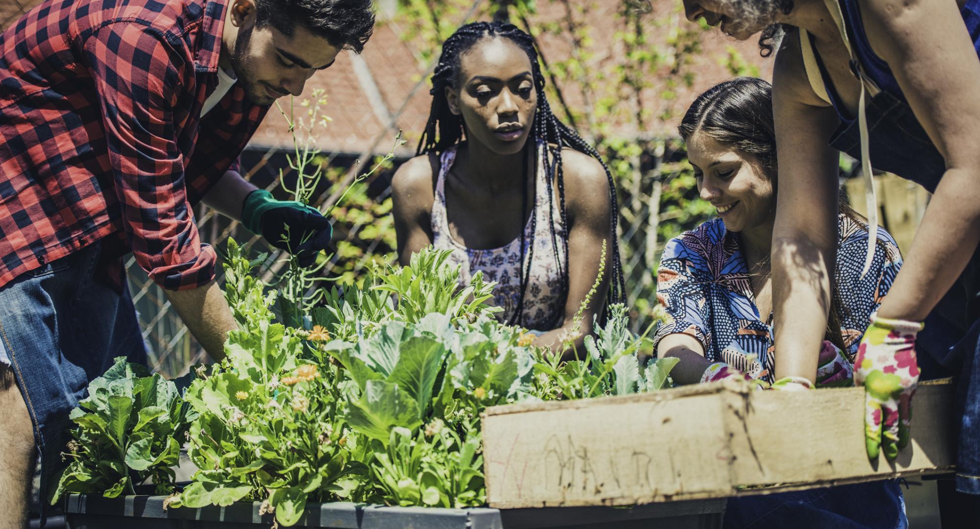 Group of young people engaging with their community by gardening.