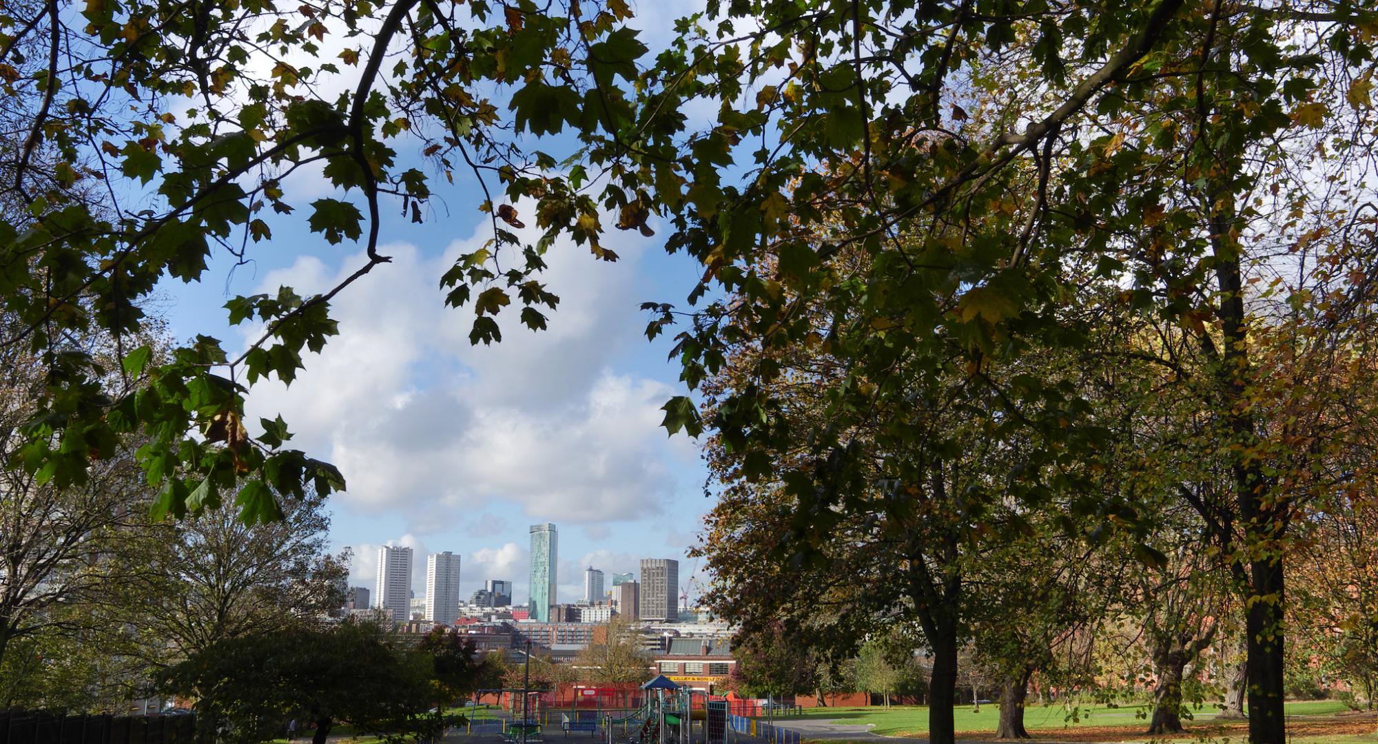 Birmingham park and skyline