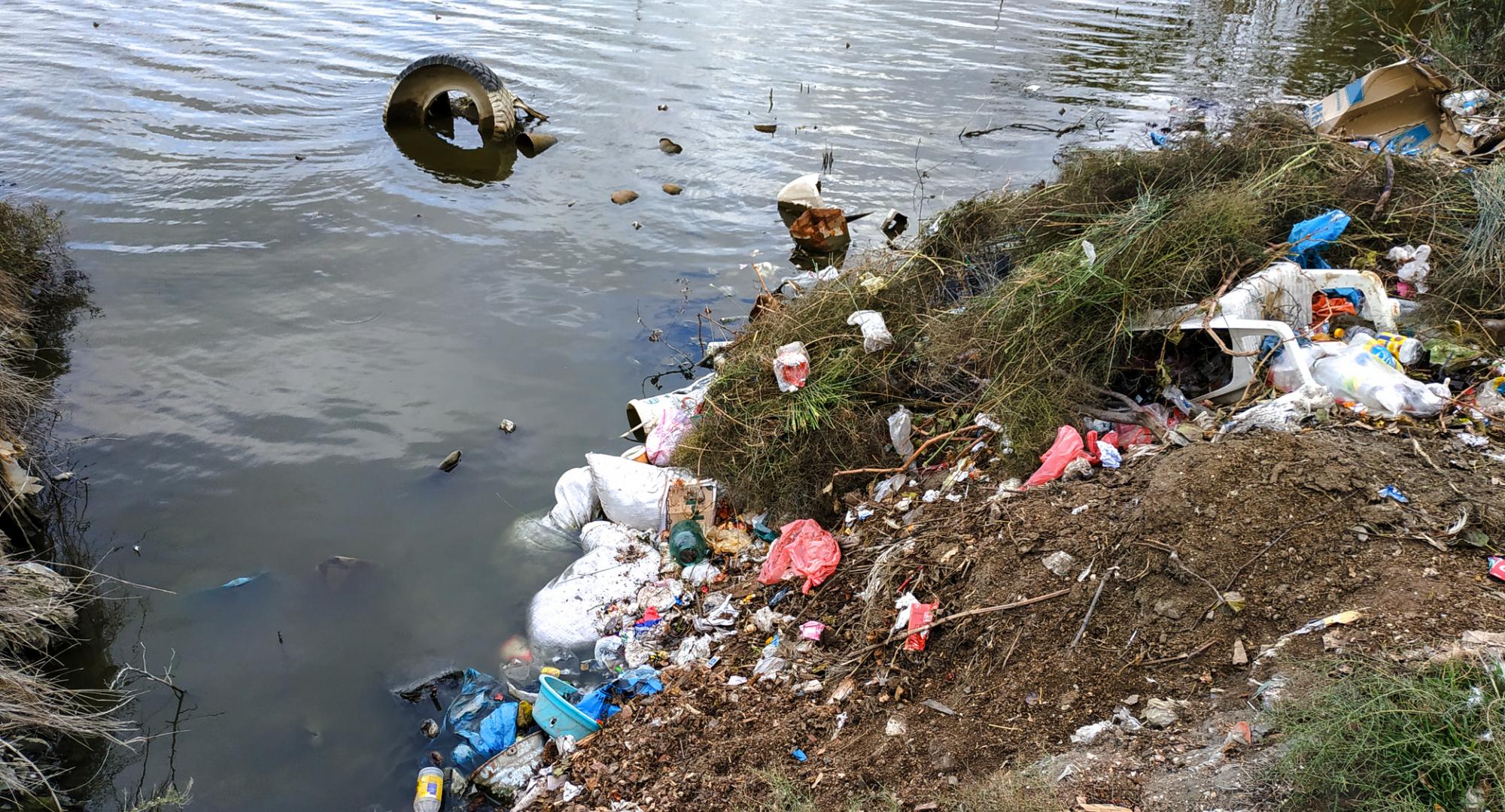 Litter