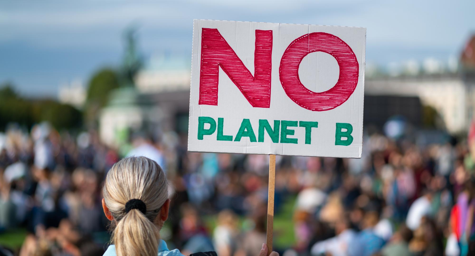 Climate change protestor