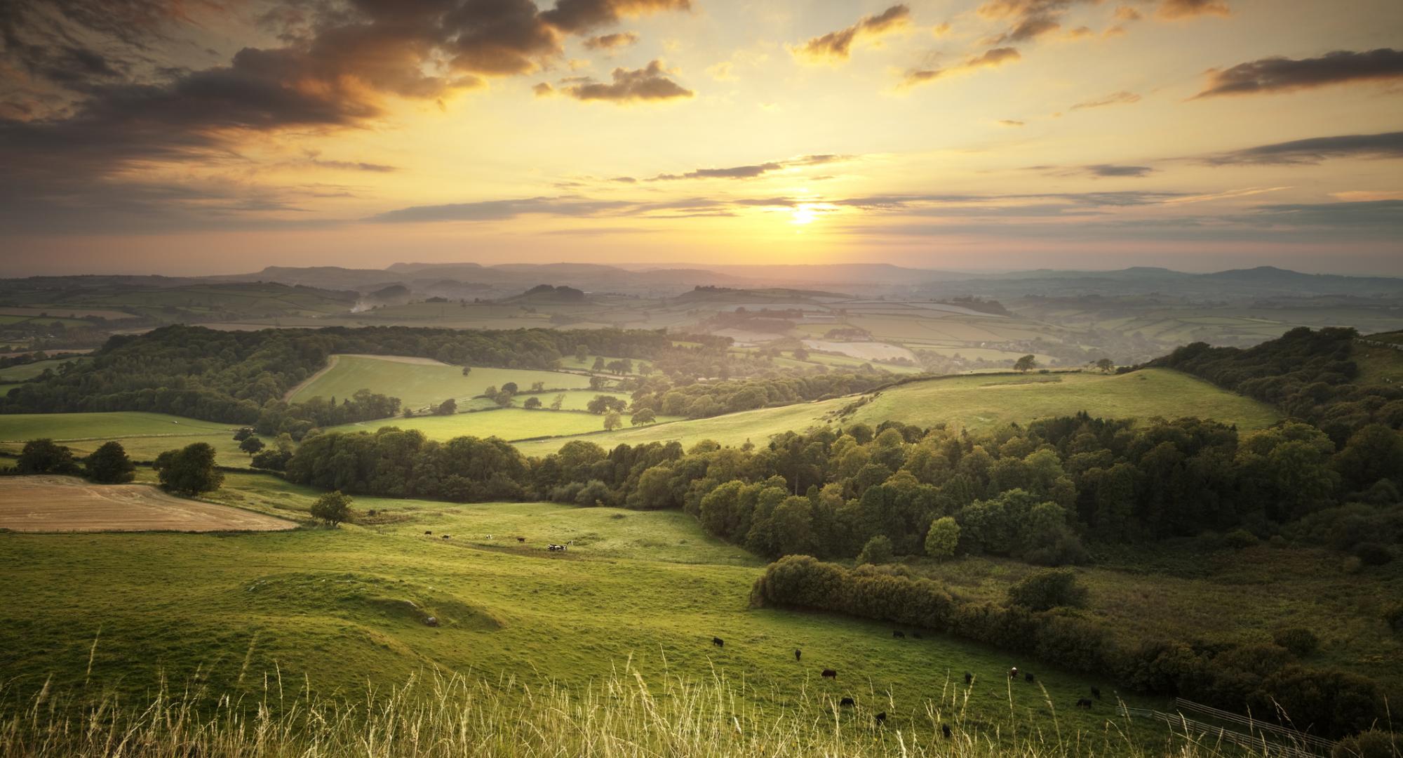 Eggardon Hill, Dorset