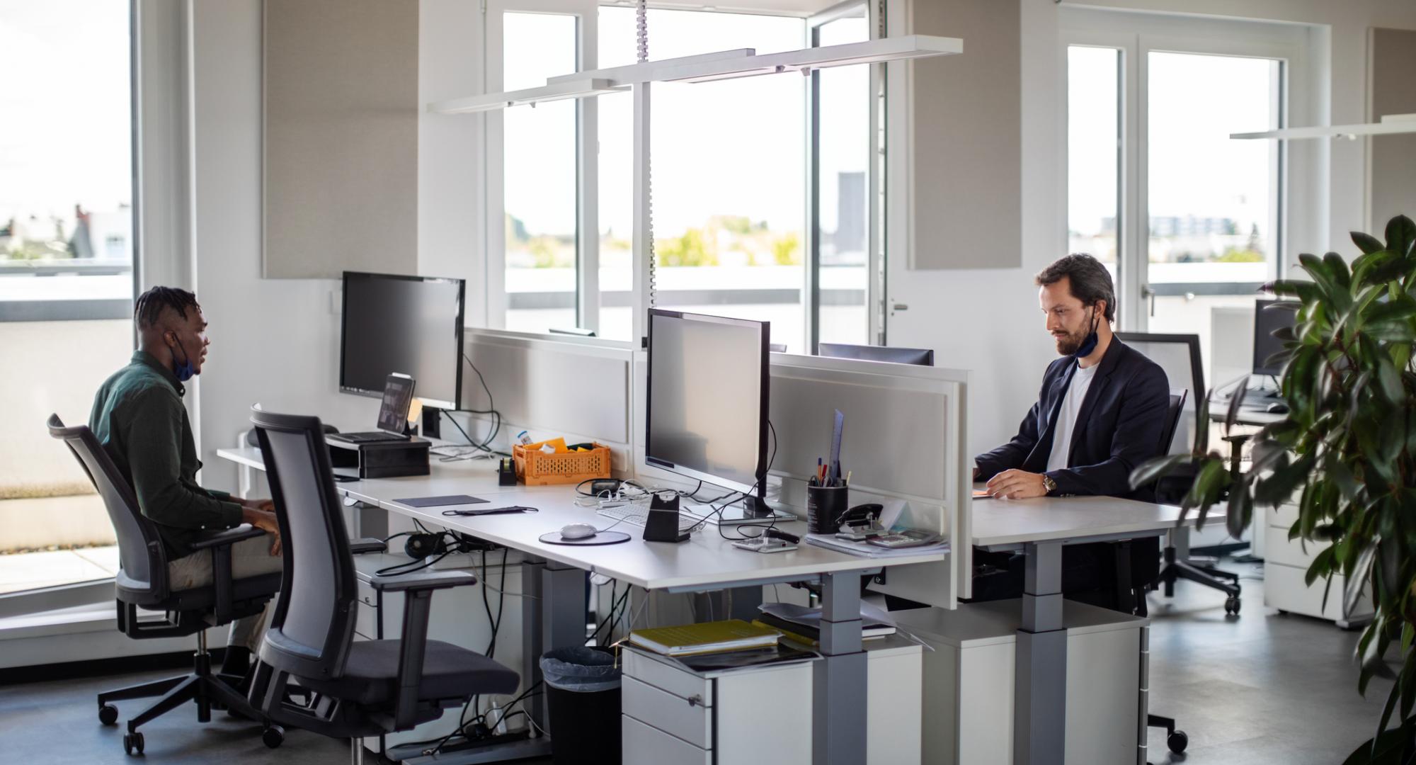 Office workers working at their desks