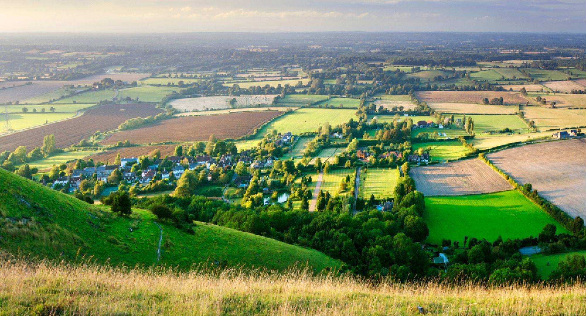 green belt land