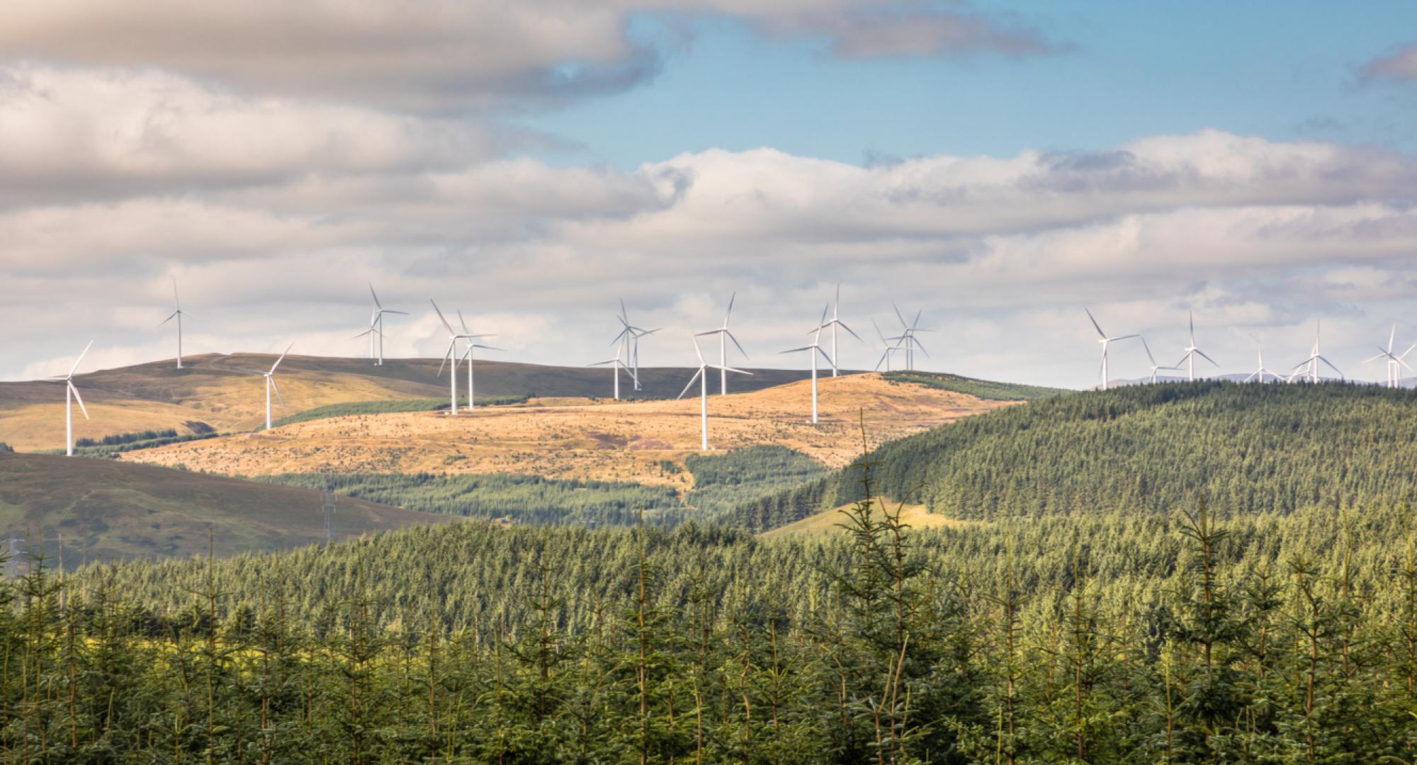 Scottish countryside with wind turbines in the background