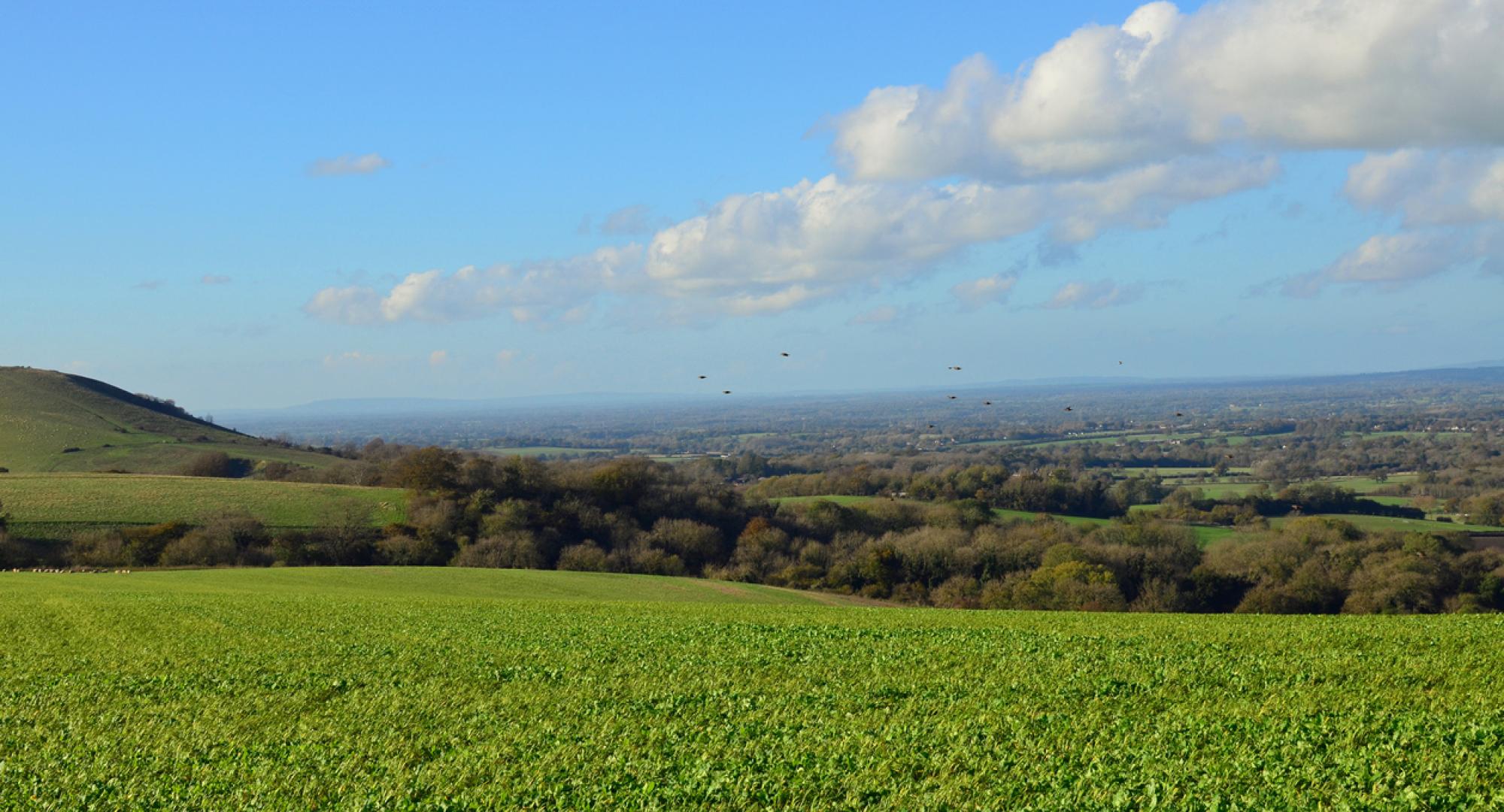 Panoramic view of west sussex