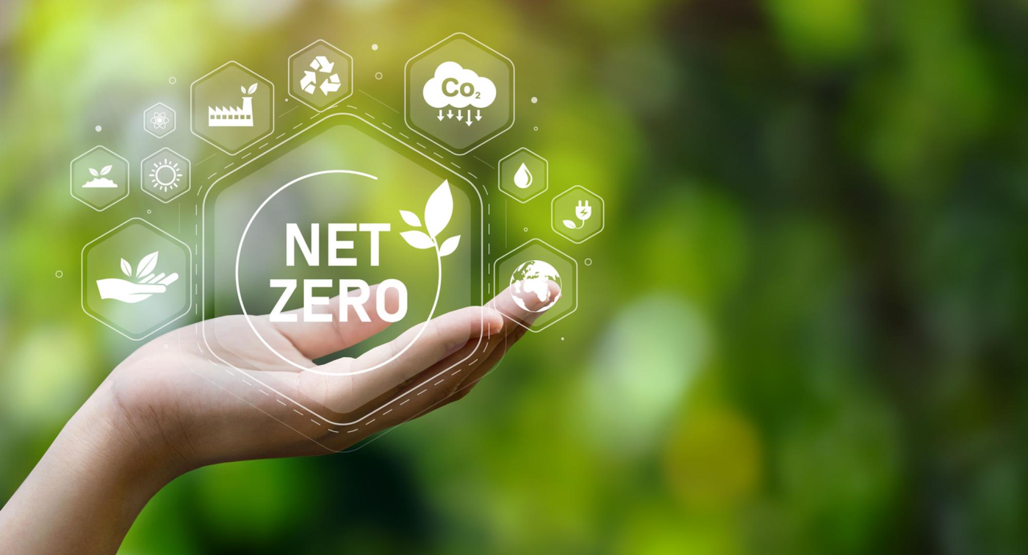 Net Zero in a hand