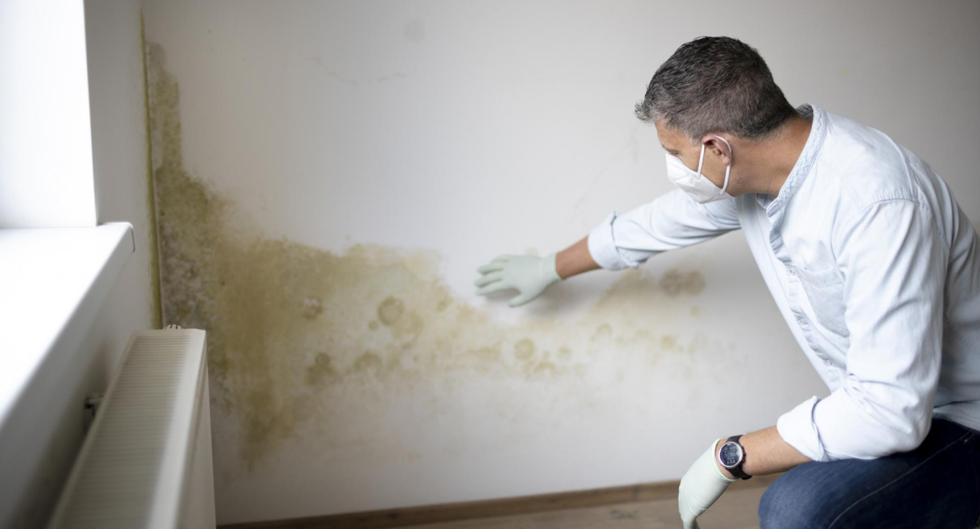 Man with mouth nose mask and blue shirt and gloves in front of white wall with mould