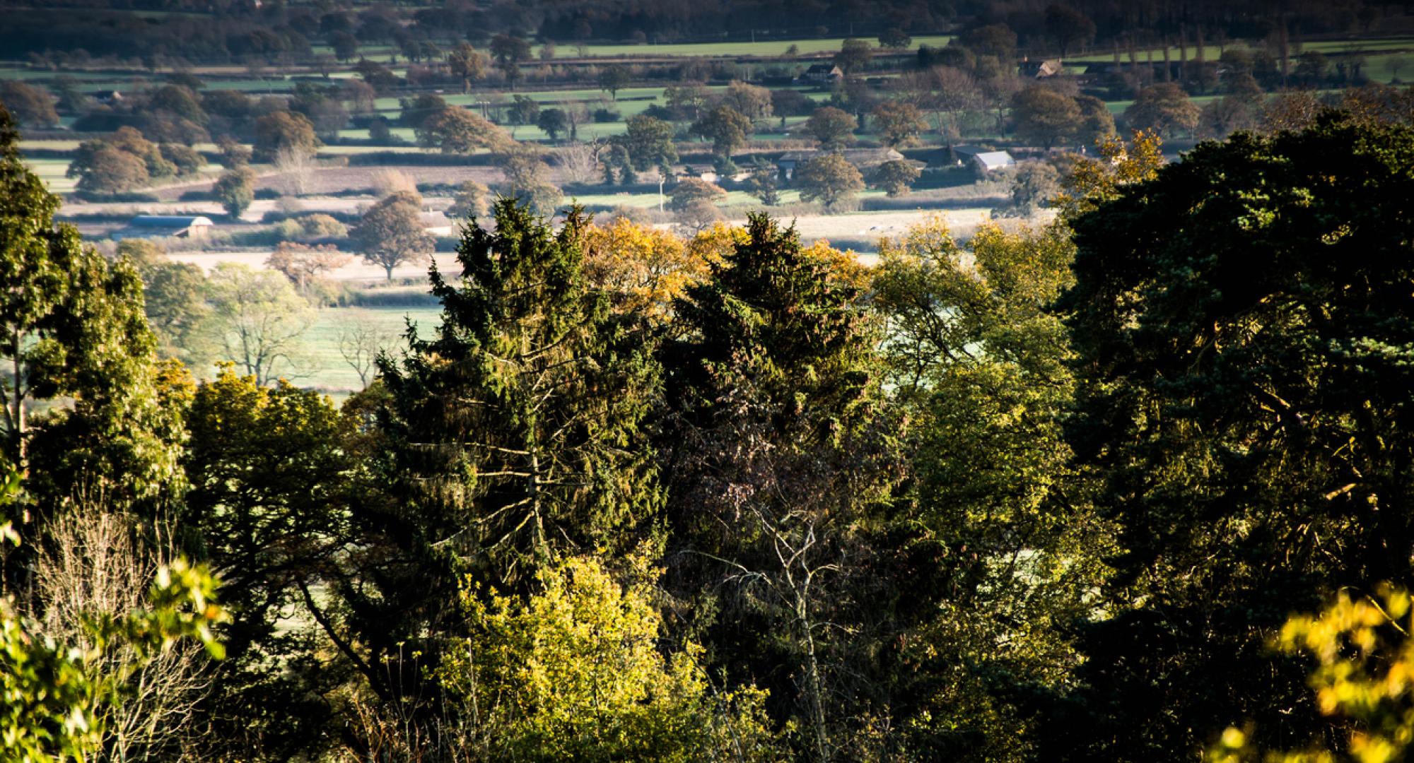 Chipping Norton, Oxfordshire