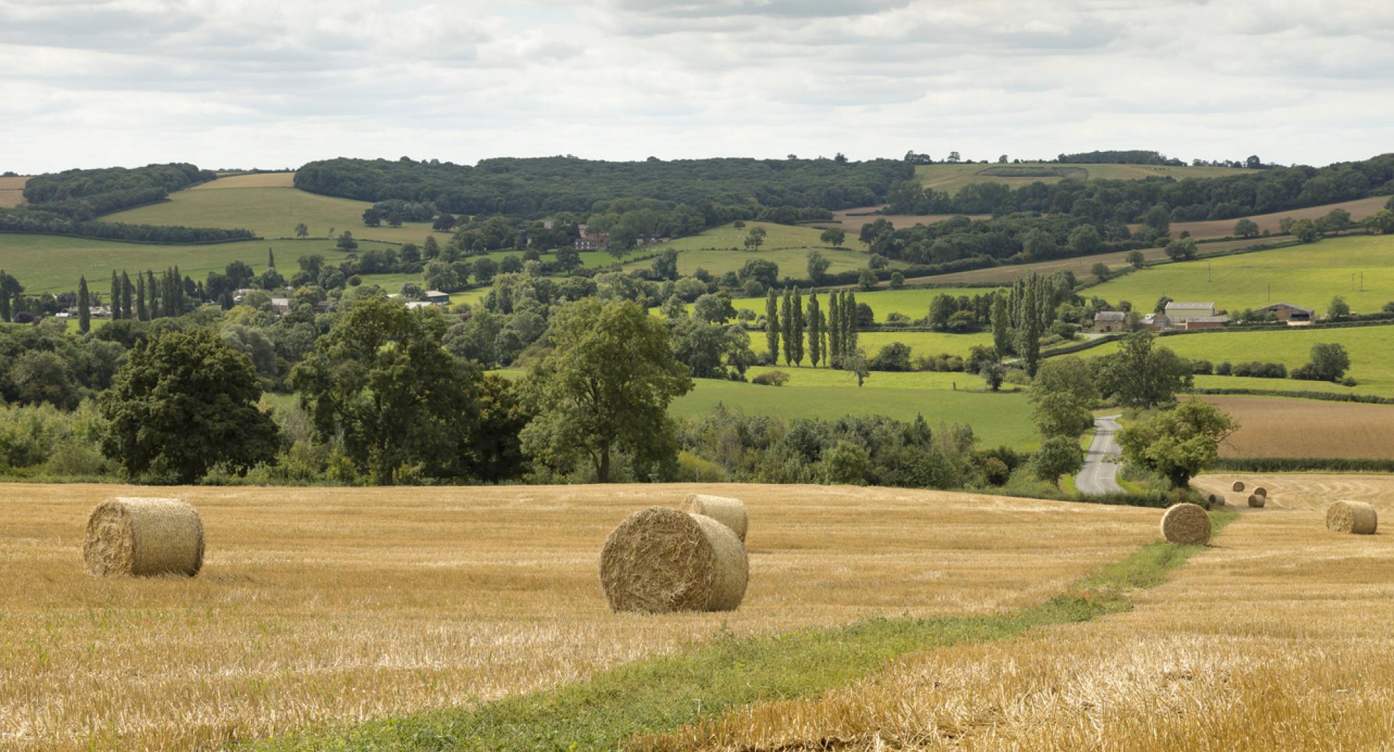 Countryside in Leicestershire