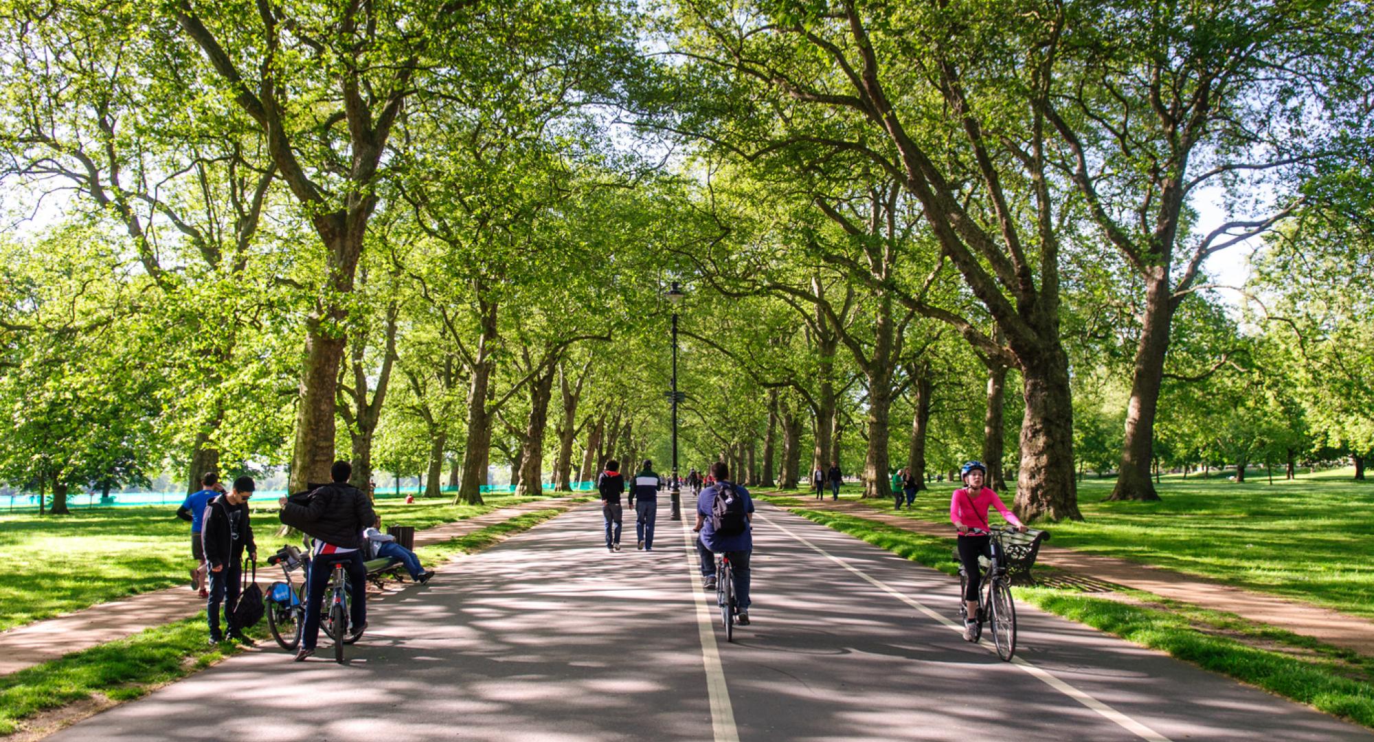 Hyde park cycle routes under tree canopy on a sunny day