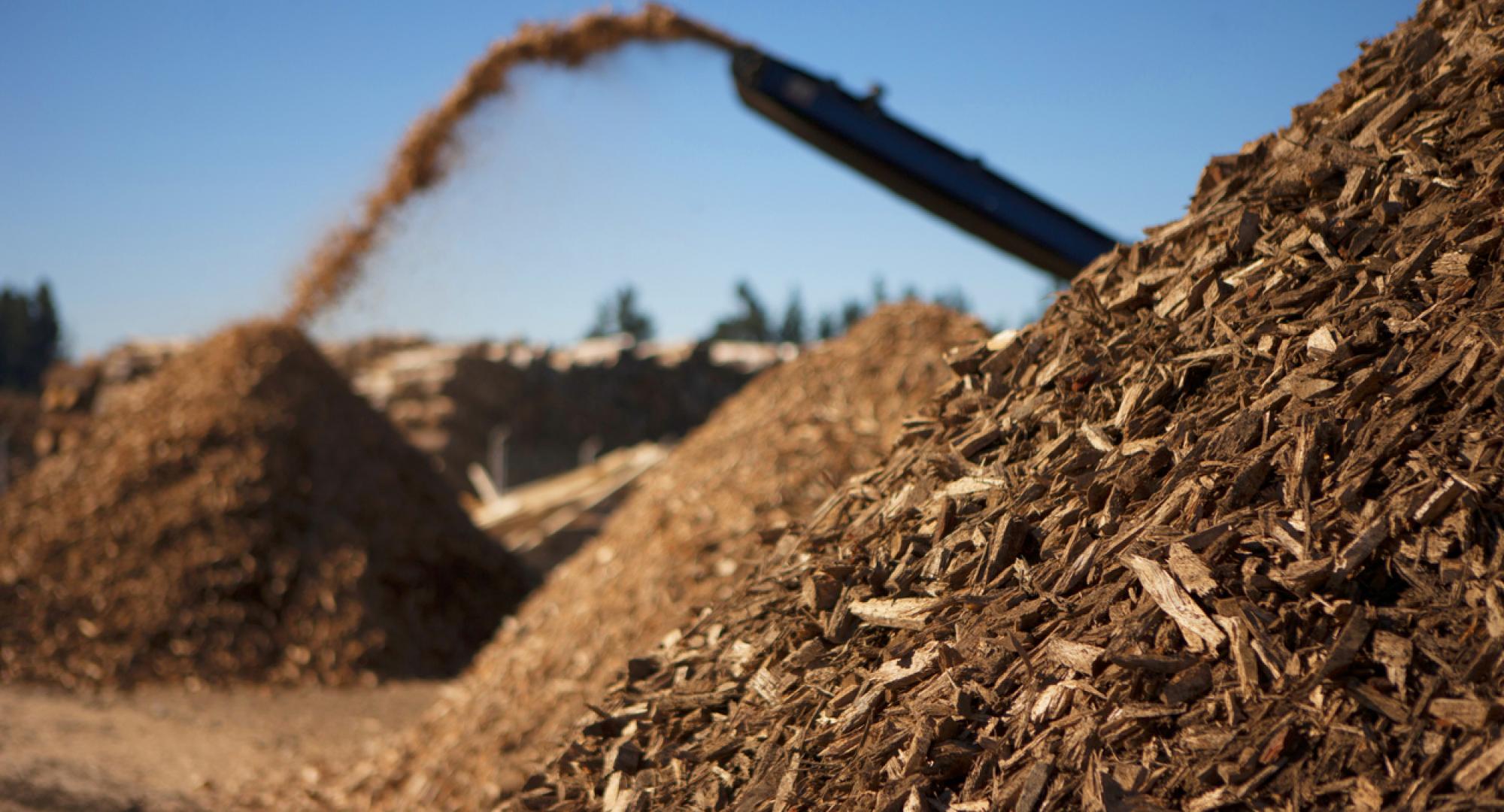 Biomass. A pile of biomass ready for us as fuel