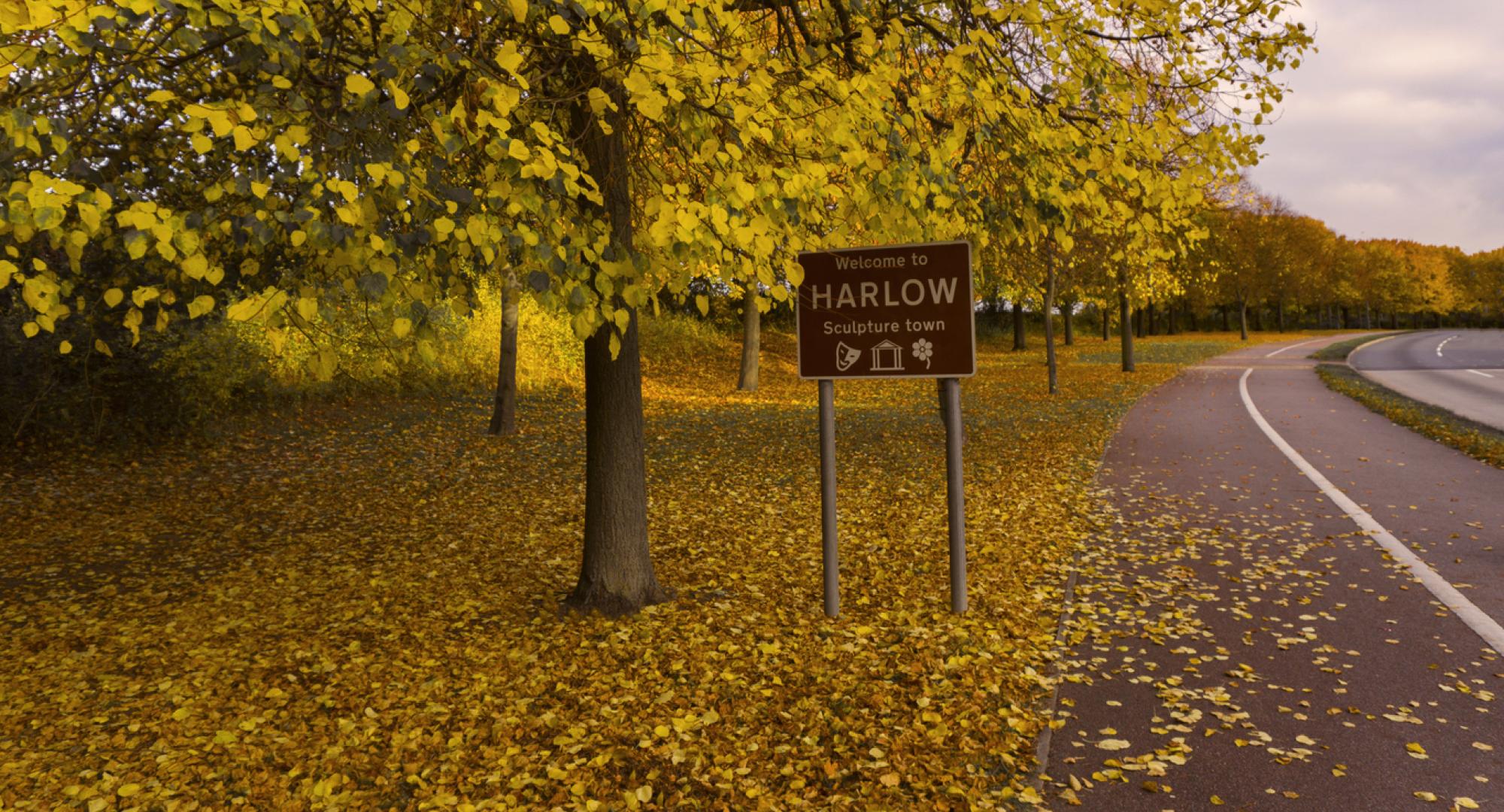 harlow sign
