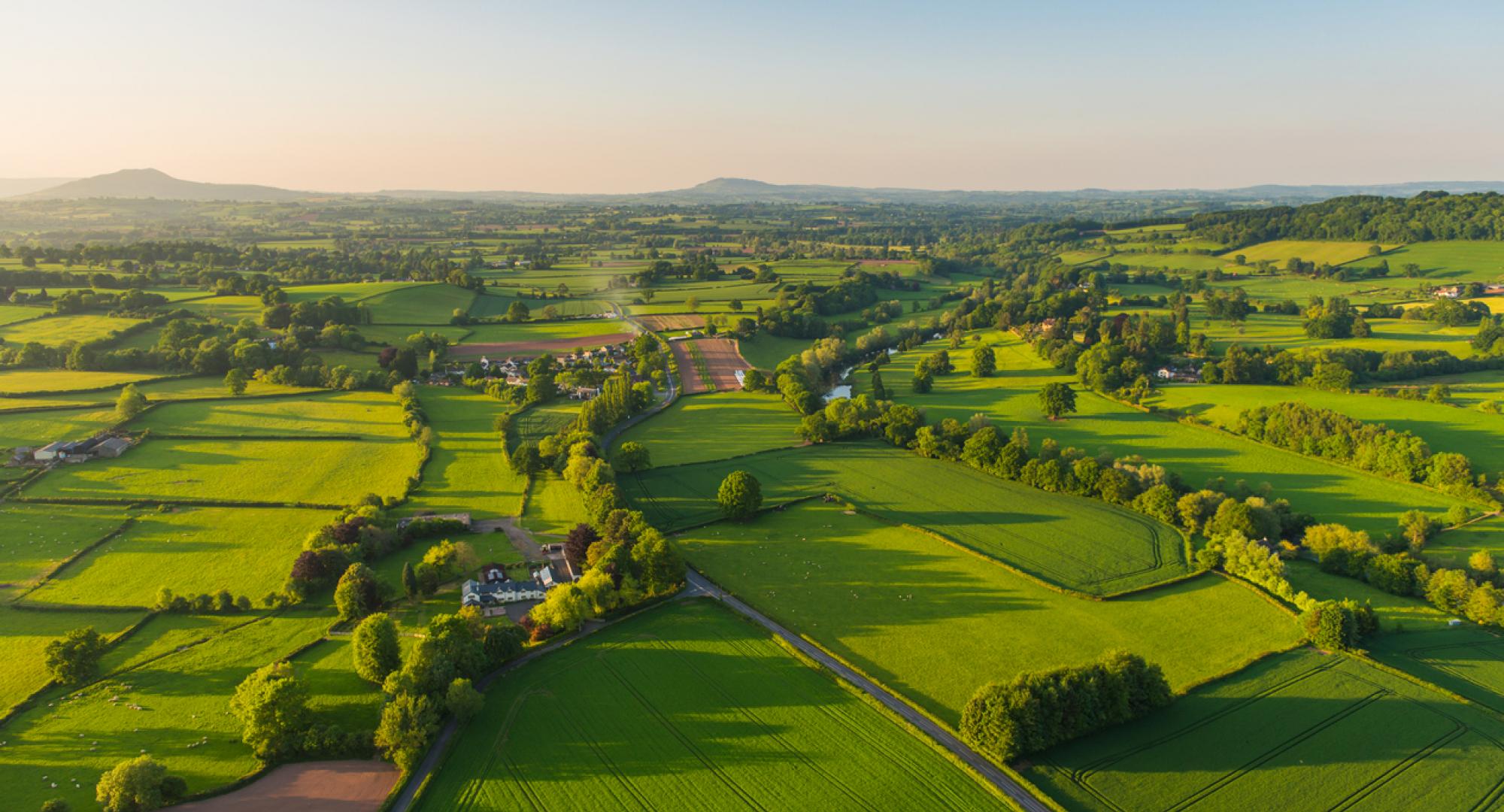 Fields in England