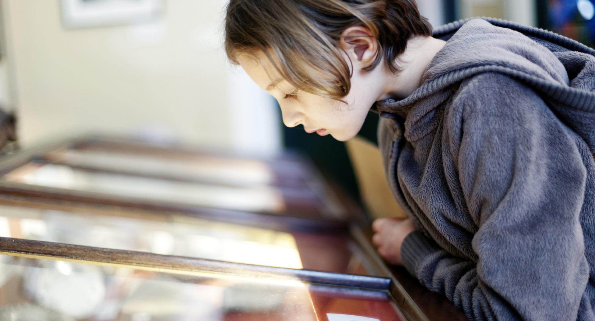 Chid learning in a museum