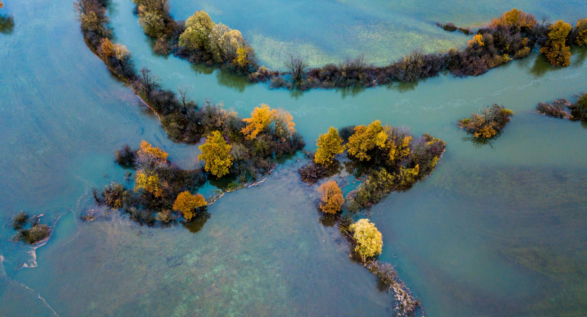 Flooding in a field