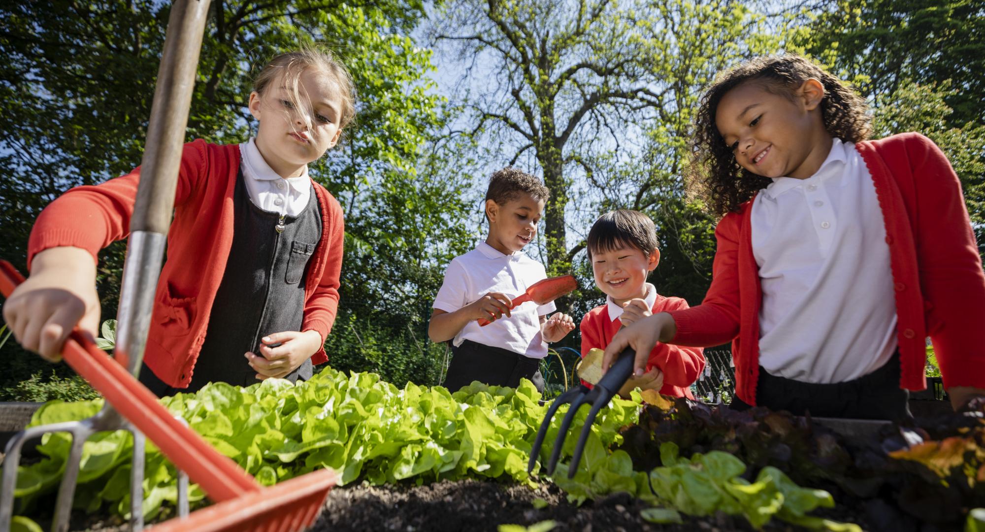 Children learning outside