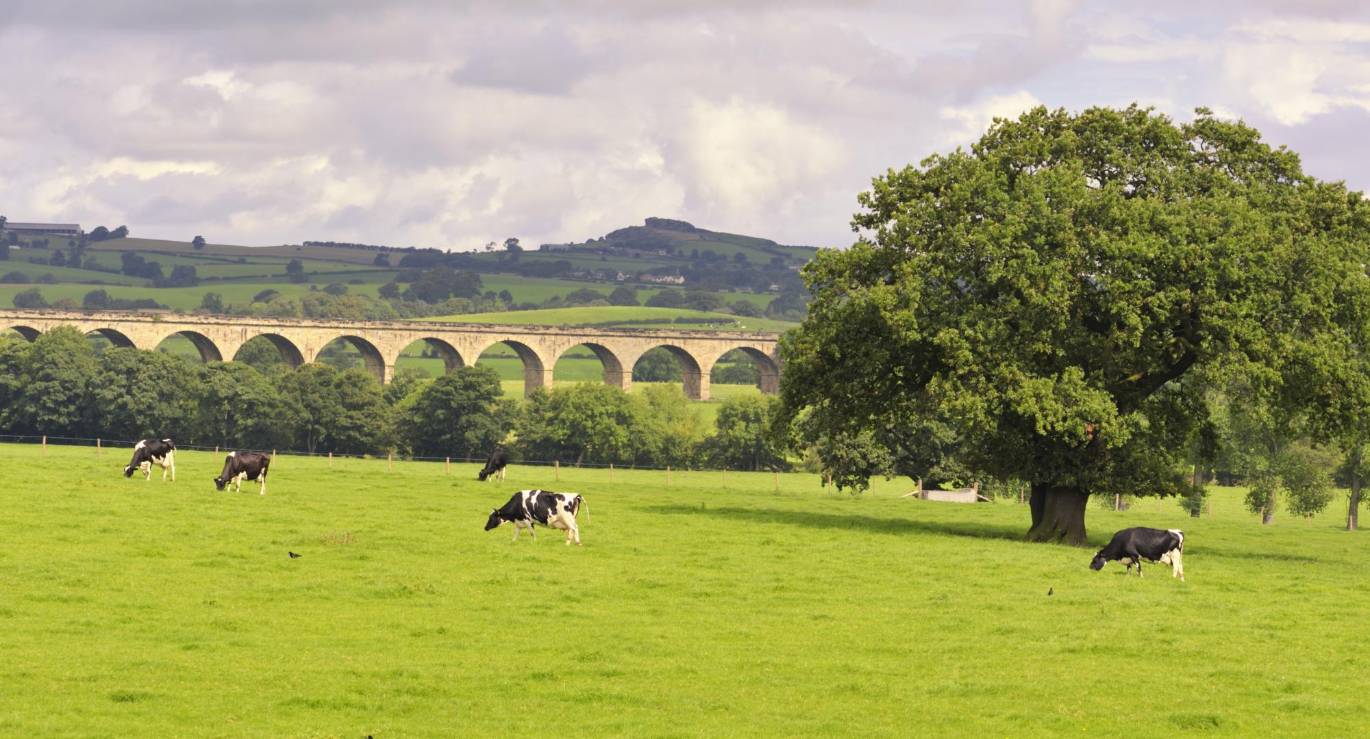 Countryside in West Yorkshire