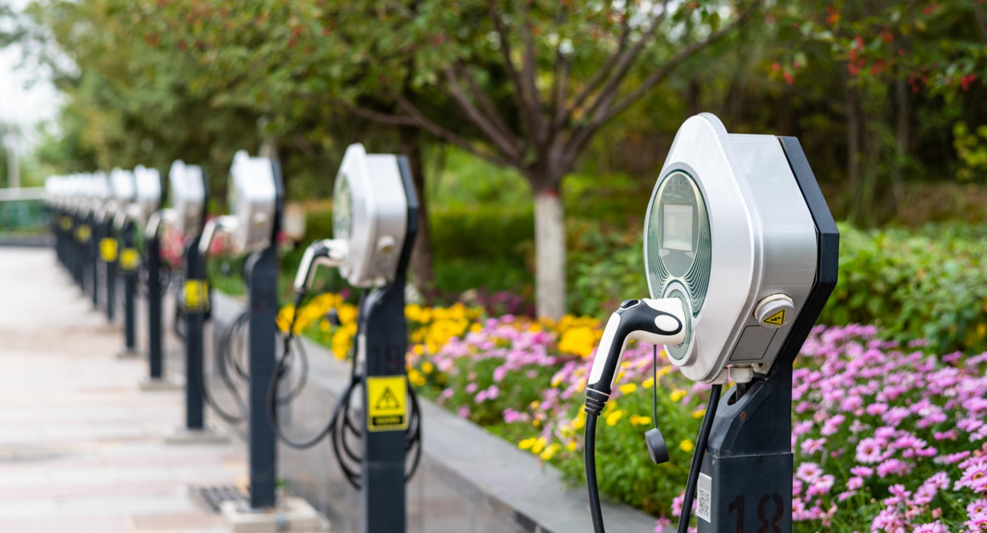 Electric car chargers in public park