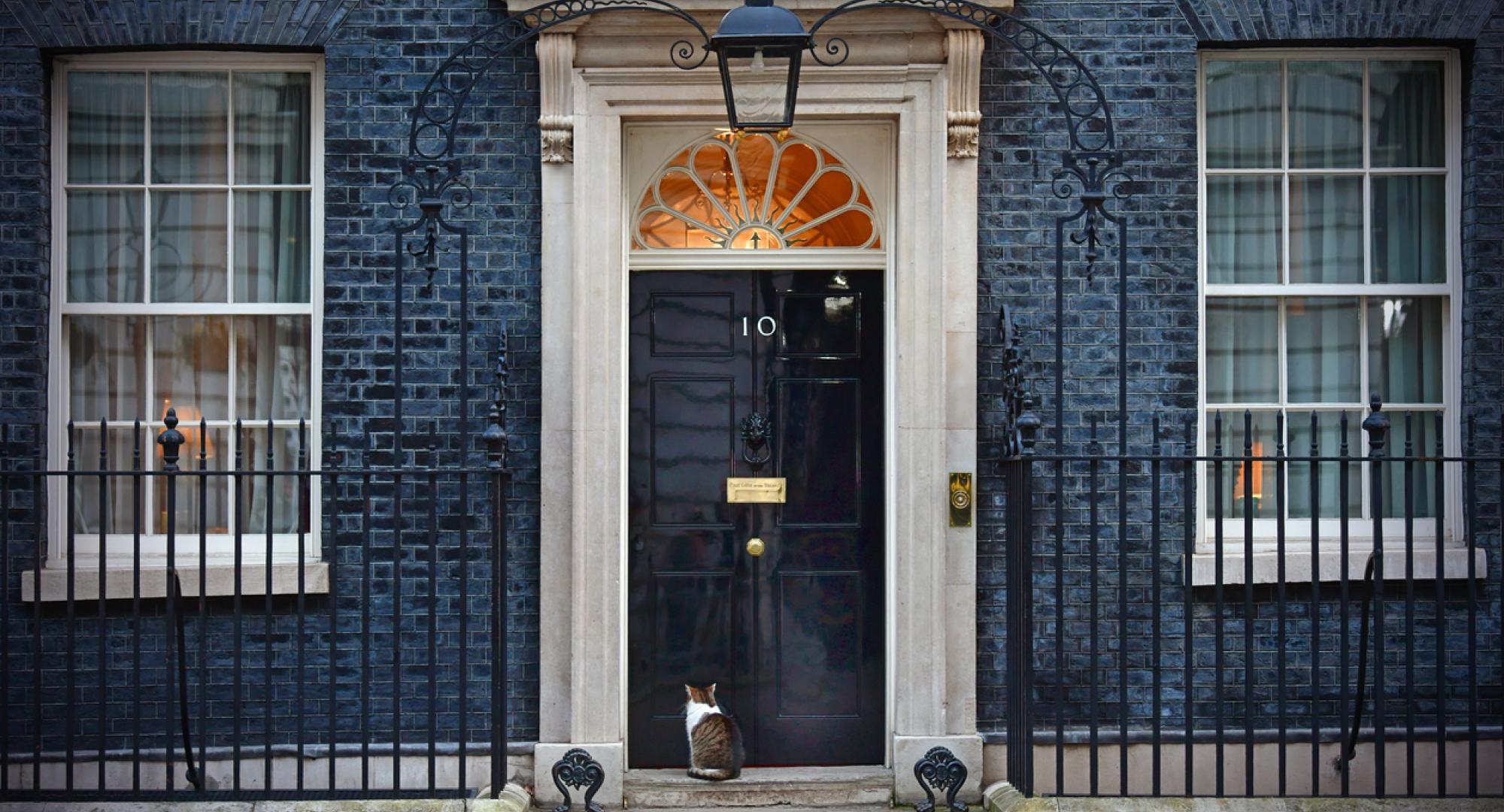 Resident cat sits in Downing Street outside number 10 - the official office and residence of the British Prime Minister in London, UK