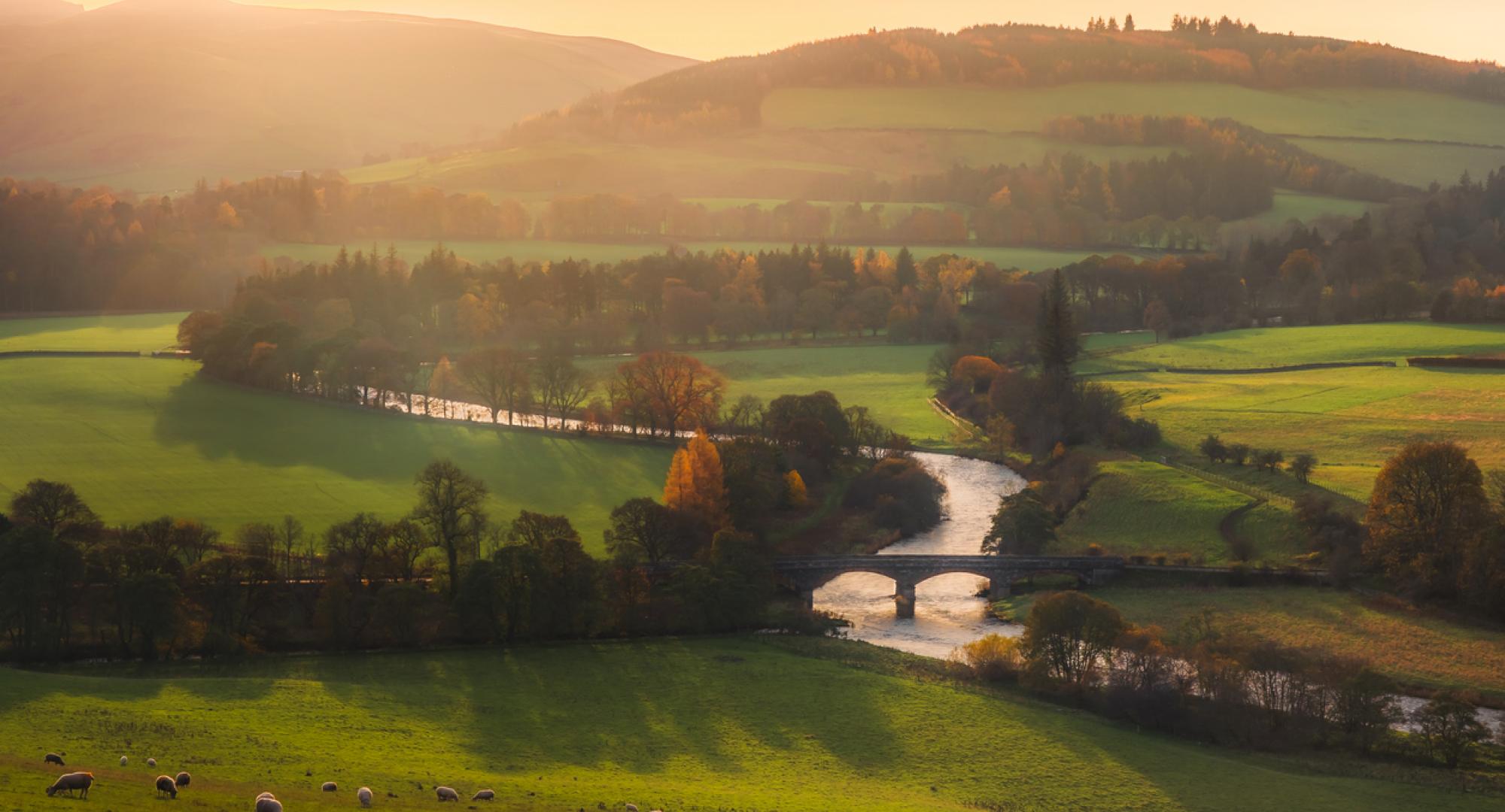 Scottish farming