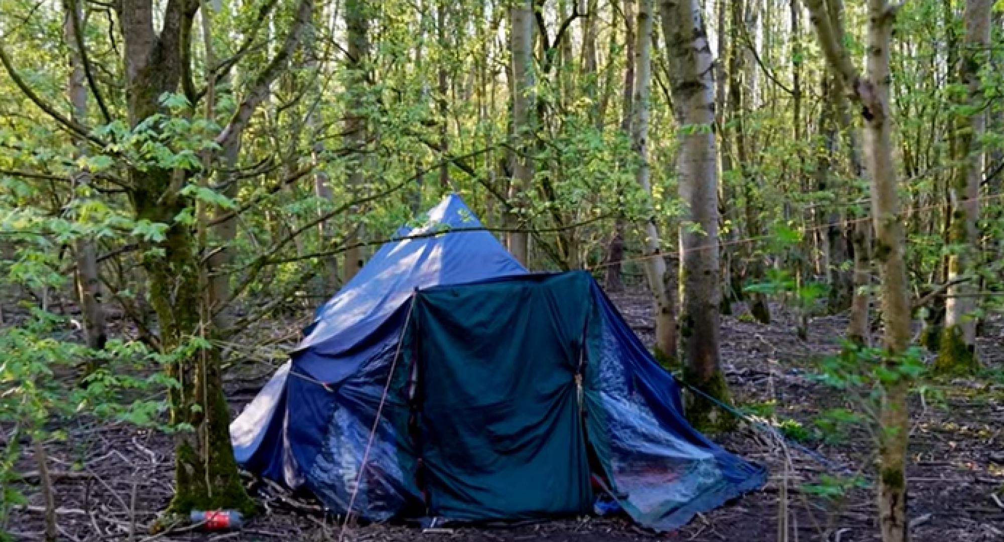 Tent in woodland
