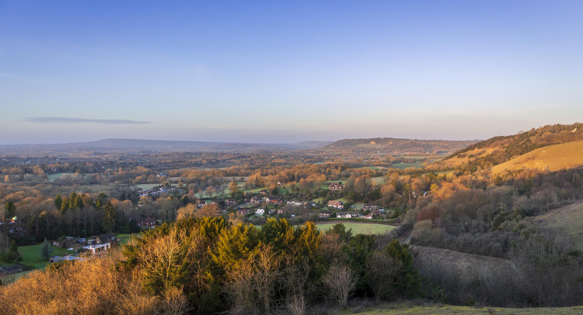 Surrey Hills