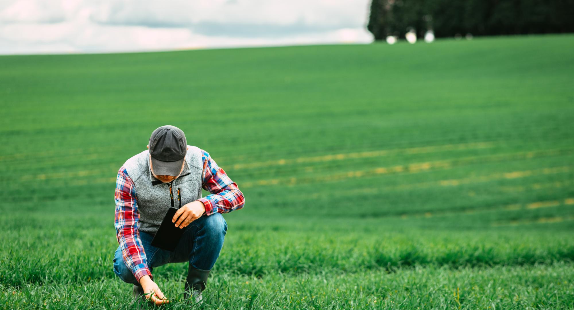 Farmer in his field