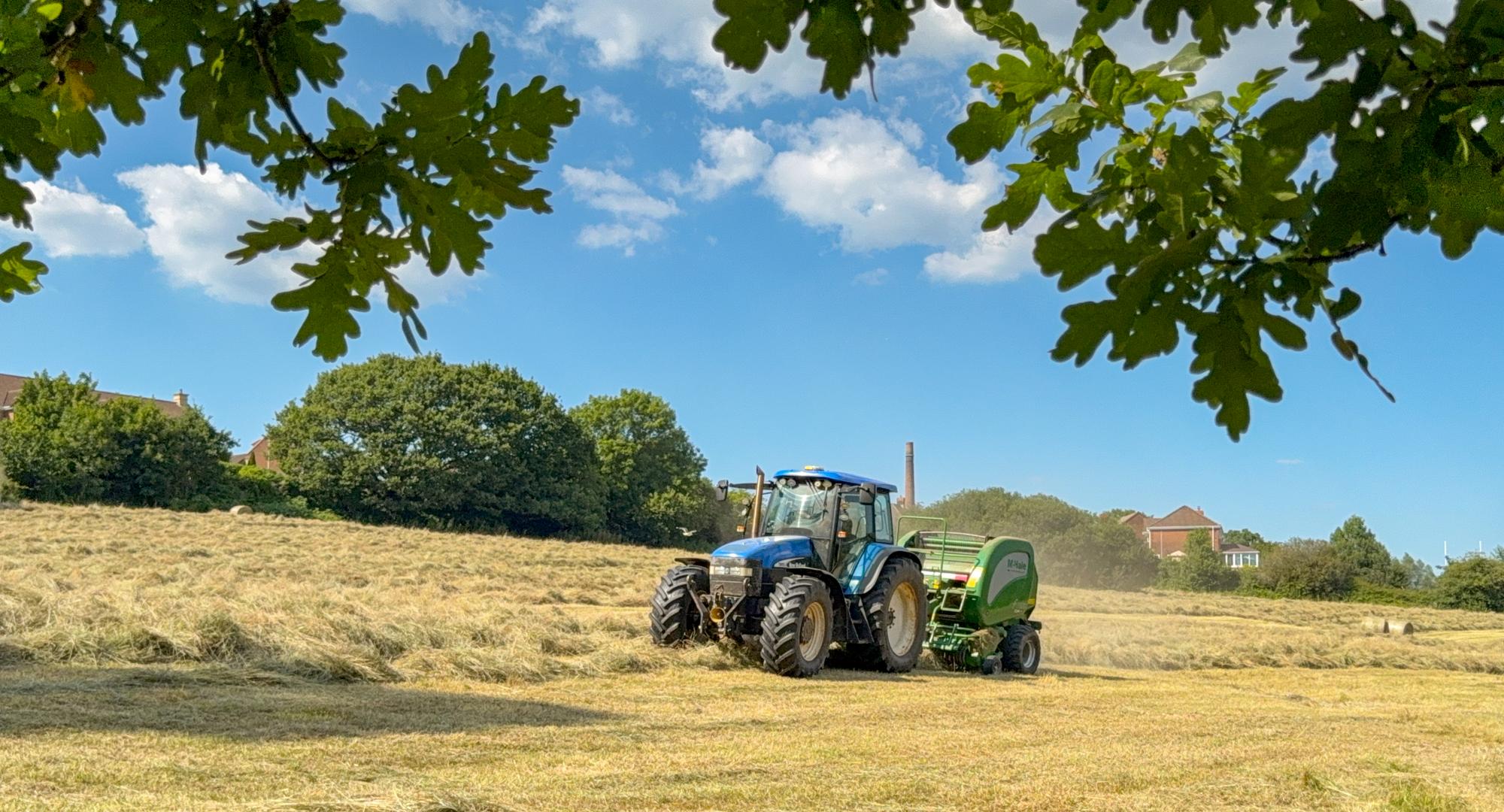 Farm in Wales