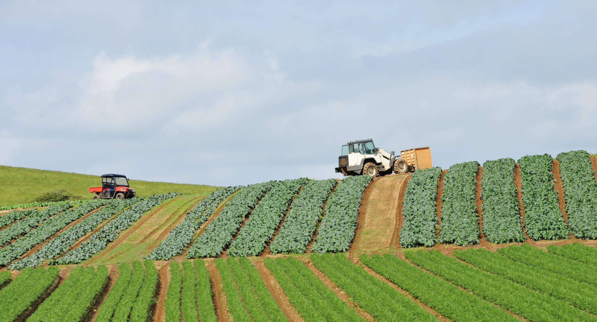 Farming technology