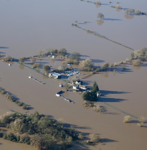 Flooded fields