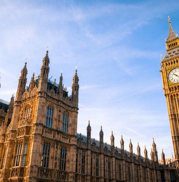 Houses of parliament