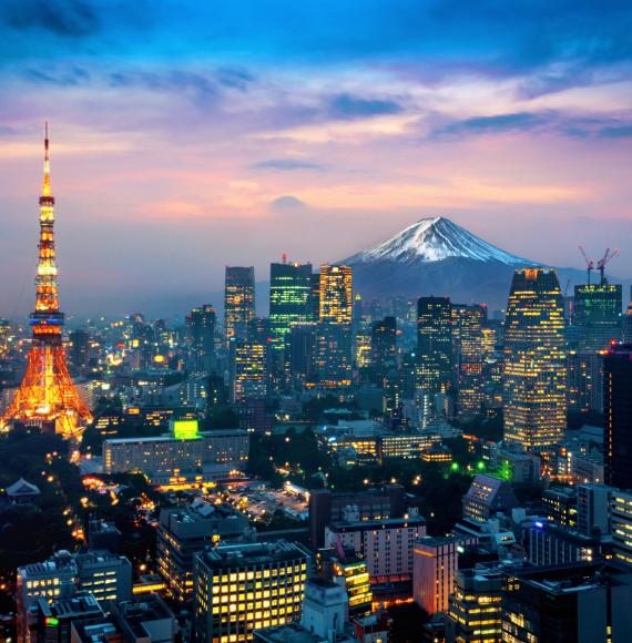 Picture of Japanese cityscape with Mt Fuji in background.