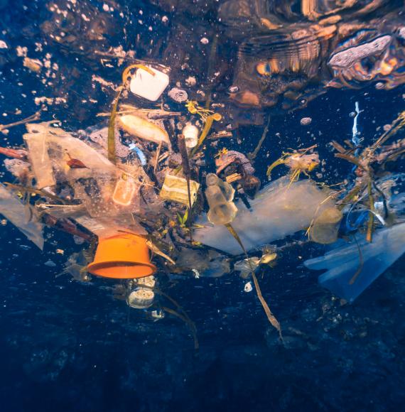 Discarded single use plastic drifts in the ocean.