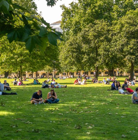 Socially distanced groups relax in a park.