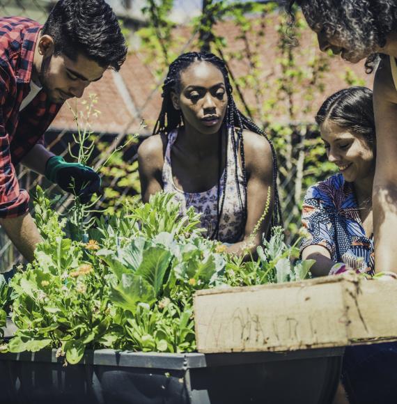 Group of young people engaging with their community by gardening.