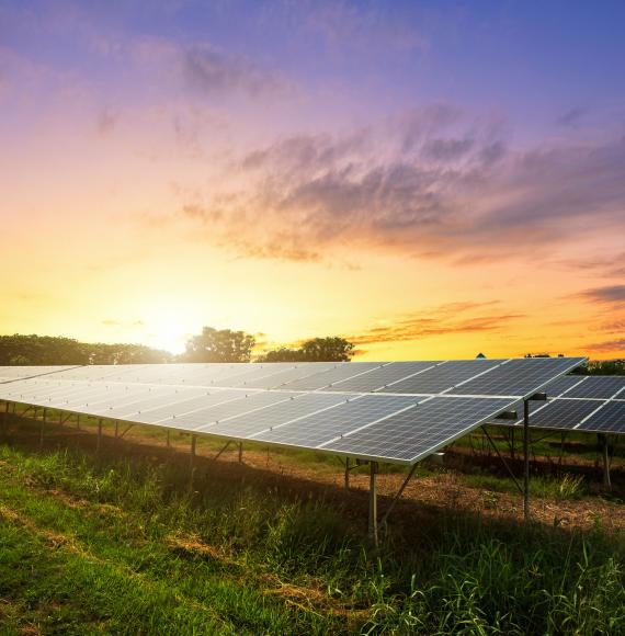 Solar farm glinting in the sunlight