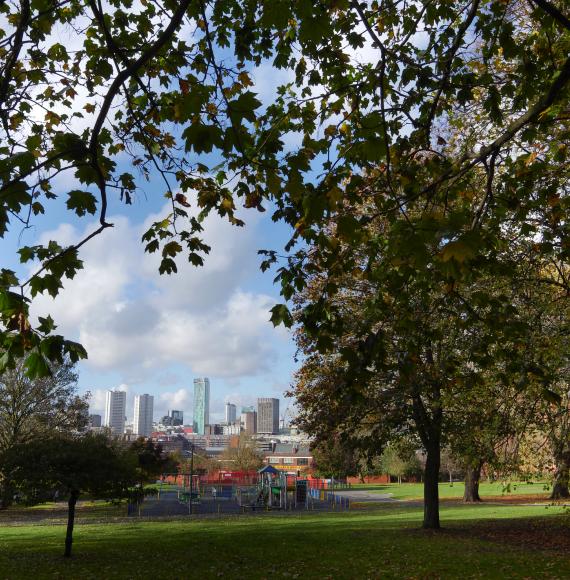 Birmingham park and skyline